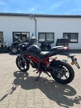 Benelli BN 125 Euro 5+ - BENELLI BN 125