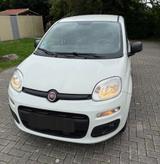Fiat Panda Easy 1.2, weiß, TÜV 08/27 - Fiat Panda Gebrauchtwagen in Dortmund