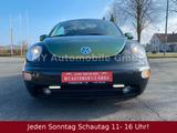 Volkswagen New Beetle Cabriolet 2.0 |TÜVNEU|KLIMA|LPG|TEMPO - Volkswagen New Beetle mit Benzin-Antrieb: Automatik