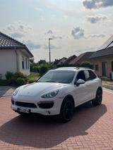 Porsche Cayenne 3.0 TDI - Porsche Gebrauchtwagen in Hildesheim
