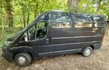 Peugeot 140PS Camper Top Zustand Sofort Reisebereit - Peugeot Boxer mit Diesel-Antrieb: Navigationssystem, Van