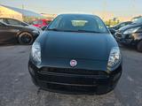 Fiat Punto 1.2 8V - Fiat Punto Gebrauchtwagen in Krefeld