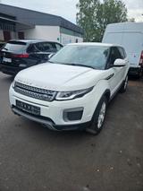 Land Rover Range Rover Evoque 2.0 eD4 Pure Pure