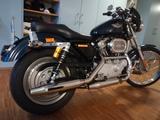 Harley-Davidson Sportster 1200 XL1 Custom - HARLEY-DAVIDSON 2003 SPORTSTER 1200