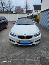 BMW M240i xDrive Steptronic Cabrio - - BMW M240i: 240