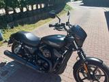 Harley-Davidson Steet 750 XG1 - Offers