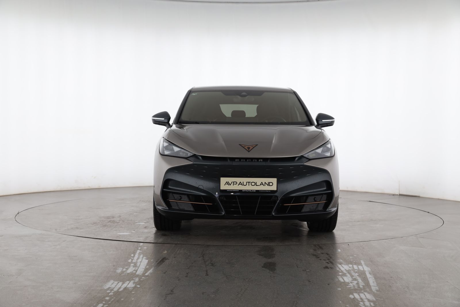 Cupra Tavascan - Bild 6