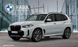 BMW X5 xDrive30d M Sportpaket Gestiksteuerung DAB