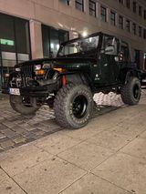 Jeep Wrangler YJ 4.0  Einzelstück mit bra... - Jeep aus 1995