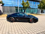 Porsche Cayman GTS 4.0 / Approved / Steinschlagfoliert - Porsche Cayman aus 2021