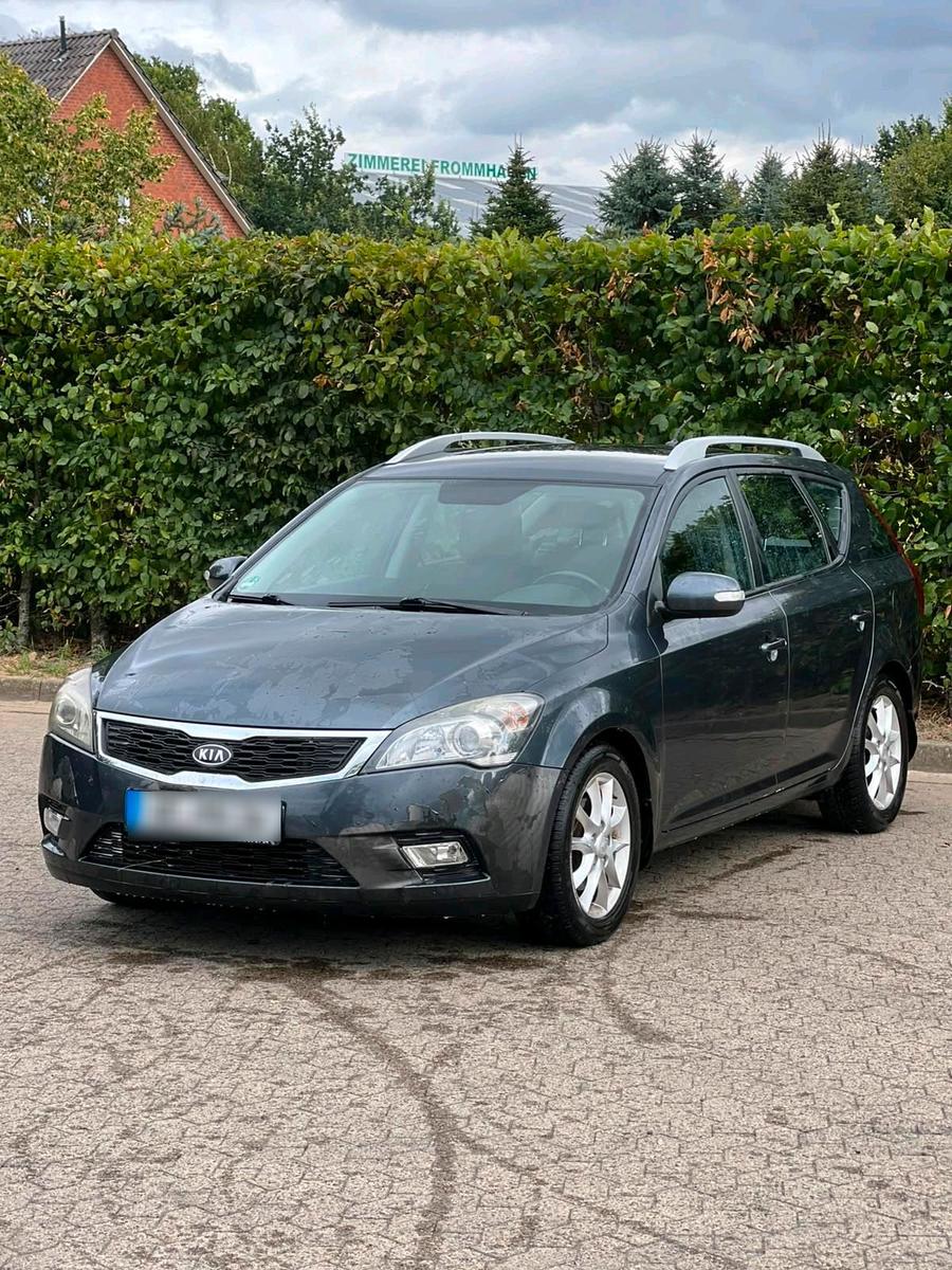 Kia  2010 — photo 9