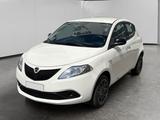Lancia Ypsilon 1.2 Gold s&s 69cv my19 - Lancia Gebrauchtwagen von 2020