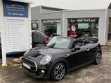 MINI COOPER Cabrio/Leder/Alu/PDC/Keyless/Tempomat/DAB - MINI MINI: Leder, Schiebedach