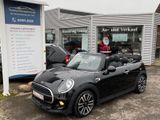 MINI COOPER Cabrio/Leder/Alu/PDC/Keyless/Tempomat/DAB - MINI MINI aus 2018