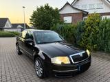 Skoda SuperB 2,5 TDI 6 Gang vier mal  Sitz... - Skoda Superb: V6 TDI