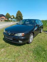 Nissan Primera 1.8 Elegance - Nissan Primera: 1.8