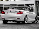 BMW 218i ADVATNAGE+NAVI+PDC+SHZ+KLIMAAUTO - BMW 218 Gebrauchtwagen
