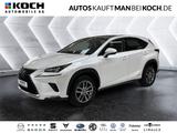 Lexus NX 300h E-FOUR Executive-Line LED NAV PANO LEDER - Lexus NX 300: H