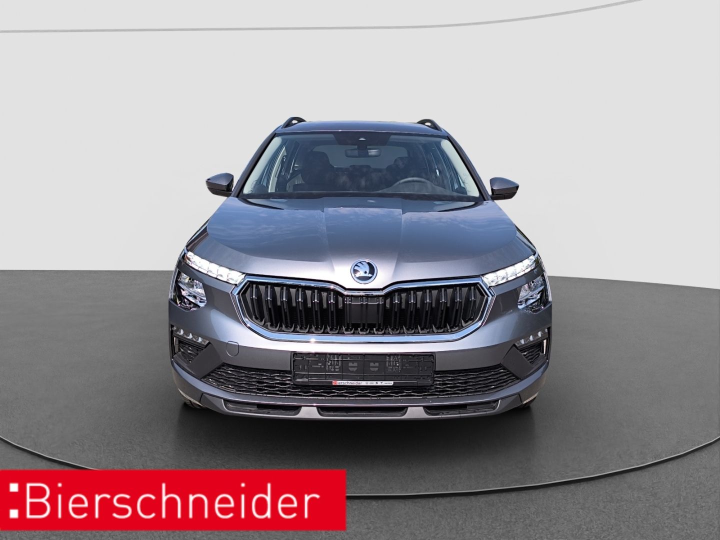 Skoda Kamiq - Bild 3