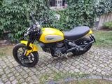 Ducati Scrambler Icon 800, Laufleistung 4.199 km,  - Offers