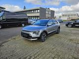 Kia NIRO 1.6 HEV 129 DCT SPIRIT 18 LM FELGEN Navi - Kia Niro Tageszulassungen