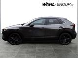 Mazda CX-30 2.5 SkyactiveG 140 Automatik Homura*LED*RF - Mazda CX-30 mit Hybrid-Antrieb: Homura