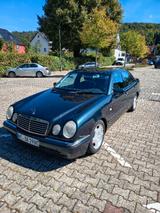 Mercedes-Benz E 240 AVANTGARDE Avantgarde - Mercedes-Benz E 240: Avantgarde