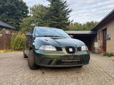 Seat Ibiza 1.2 6V Amaro Amaro - Seat Ibiza: Amaro