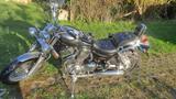 Suzuki VX 51 L - Angebote