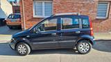Fiat Panda 1.2 Dynamic 8V Eco (TÜV bis Dez... - Fiat Panda Gebrauchtwagen in Wuppertal