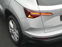 Skoda Karoq - Vorschau Bild 19