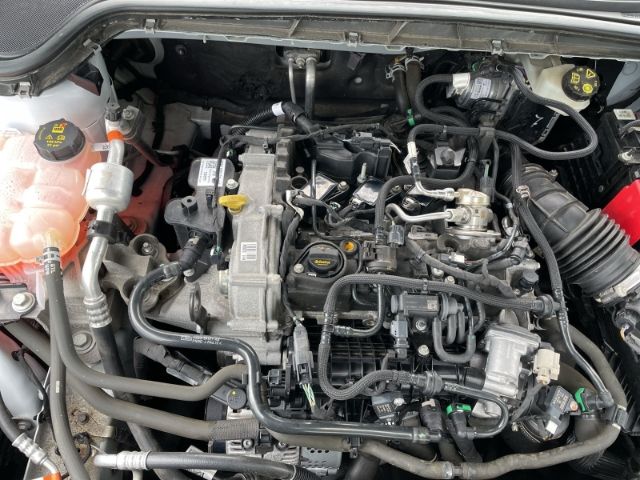 Fahrzeugabbildung Ford Focus 1.0 EcoBoost Mild-Hybrid, ST-Line AHK, Nav
