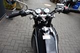 Mash QM 250 Black Seven - MASH MOTORRAD