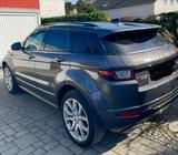 Land Rover Range Rover Evoque 2.0 Si4 SE Dynamic SE Dynamic - Land Rover Range Rover Evoque mit Benzin-Antrieb: Automatik