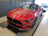 Ford MUSTANG GT 5.0Ti-VCT CONVERTIBLE 19Z./ACC/B&O - Ford Mustang in Hagen