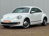 Volkswagen Beetle 1.4 TSI "Cup" 2. HAND SCHH. TEMPOM. PDC - Volkswagen Beetle: Cup