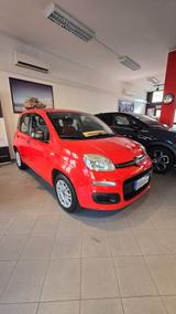 Fiat Panda 1.2 fire 69cv Easy - 80.000 km - Fiat Panda: Fire
