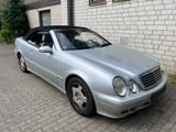 Mercedes-Benz CLK 230 KOMPRESSOR ELEGANCE Evolution