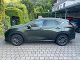 Lexus NX 350h 350h Business Line Business Line - gebrauchte Lexus NX 350h aus dem Jahr 2024