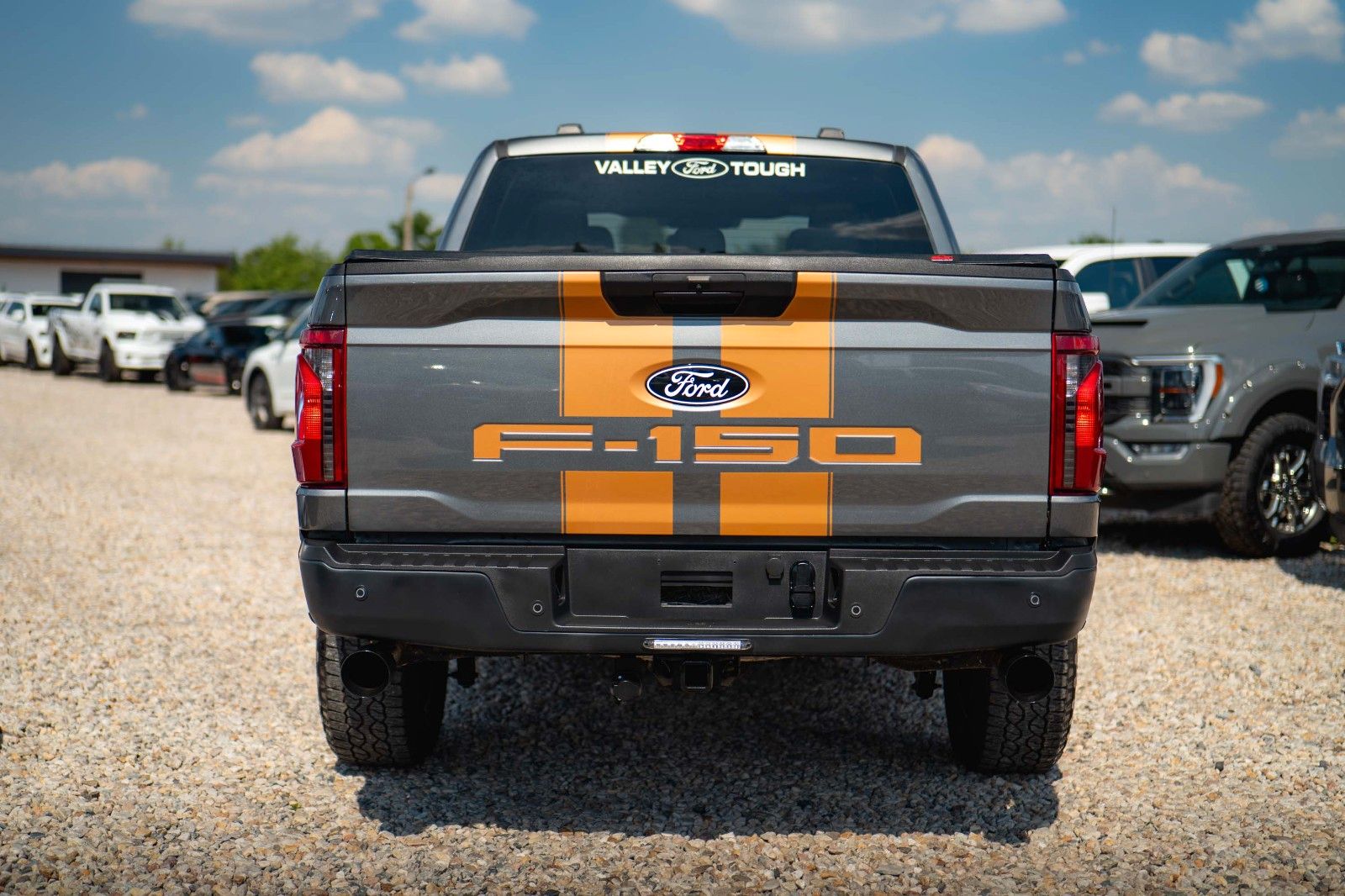 Fahrzeugabbildung Ford F150 5.0L V8 4x4 Offroad SuperCrew RAPTOR 19%