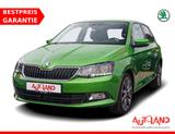 Skoda Fabia 1.0TSI Drive Navi Tempomat Sitzheizung PDC - Skoda Fabia: Grün