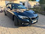 BMW 220d Cabrio Sport Line Sport Line - BMW 2er Reihe von privat