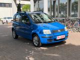Fiat Panda 1.2 8V Emotion - Fiat Panda: Blau