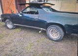 Chevrolet El Camino  Bj. 1977 5.7 Liter V8 - Chevrolet El Camino Gebrauchtwagen