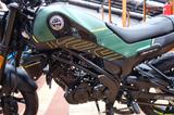 Benelli Leoncino 125 ABS+Full LED+1Hd+1510KM+gepflegt+A1 - BENELLI VON 81 BIS 125 CCM