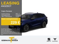 Cupra Terramar - Vorschau Bild 1