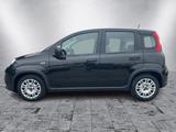Fiat Panda Hybrid - gebrauchte Fiat Panda aus dem Jahr 2023
