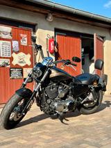 Harley-Davidson sportster custom