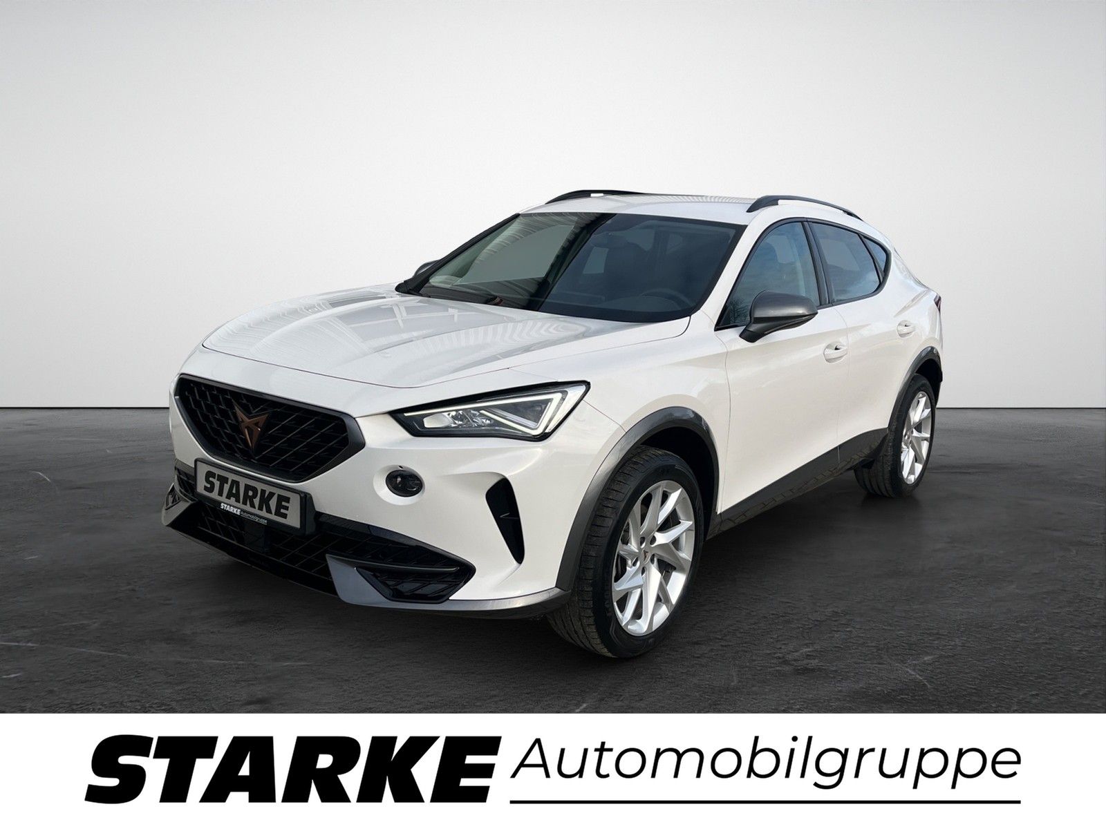 Cupra Formentor 2.0 TDI  Navi LED PDC LM Tempo Klima