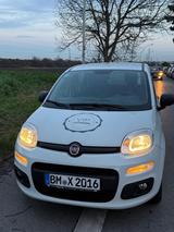 Fiat Panda  - Fiat Panda in Leverkusen